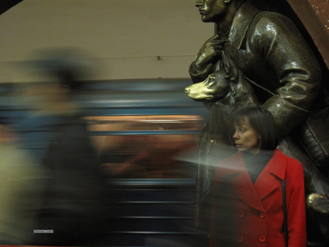 Moscow metro dog