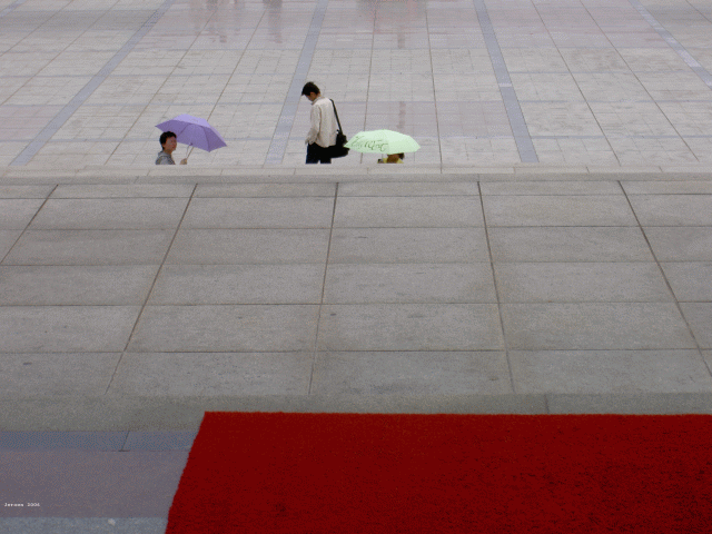 Xiamen umbrellas