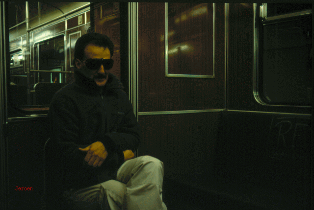 Berlin U-Bahn sun glassed passaenger