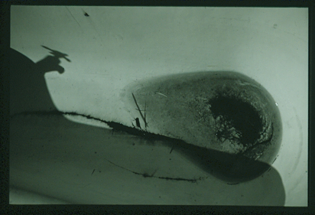 highland bathtub b/w