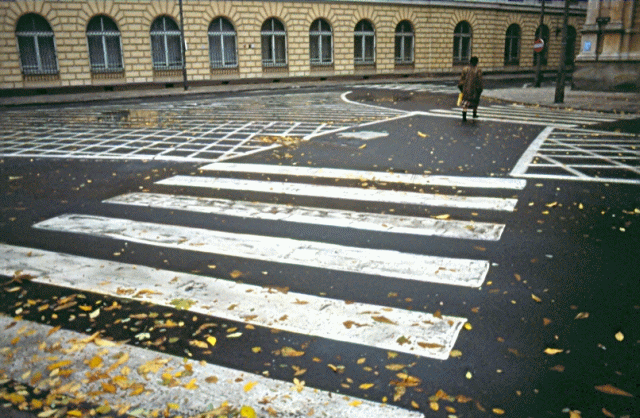 Pedestrian crossing Warsaw