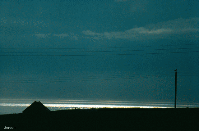 lonely bird Port Henderson Western Highlands