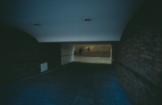 Campus Lancaster University by evening